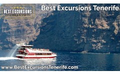 Royal Delfin (3 Hours)